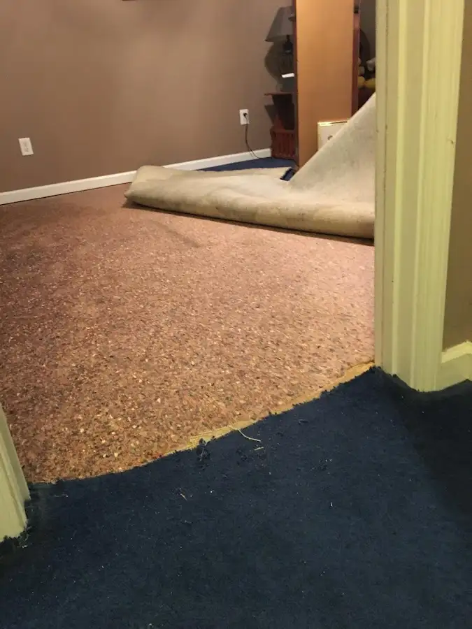 Carpet pad removal revealing water damage during Drying & Dehumidification in Fairview Shores