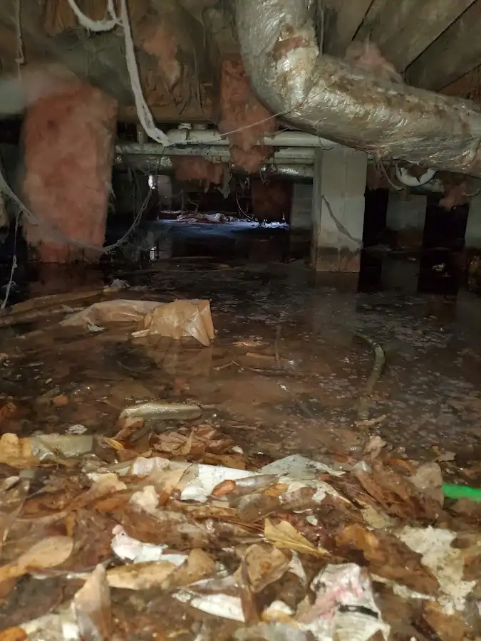 Crawl space flood assessment for Leak Detection & Repair in Fairview Shores